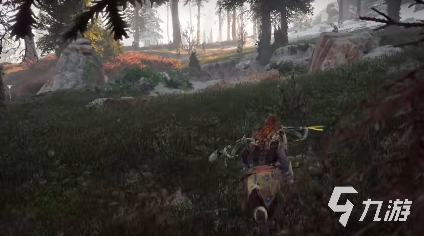 艾尔登法环 年度版 截图14